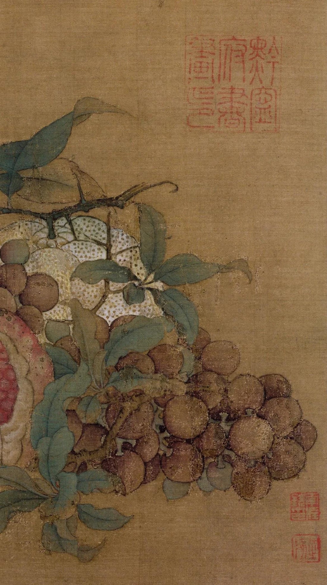 Why is mandarin Mandarin? 🍊 - Exploring the Fruit’s Linguistic Roots in History