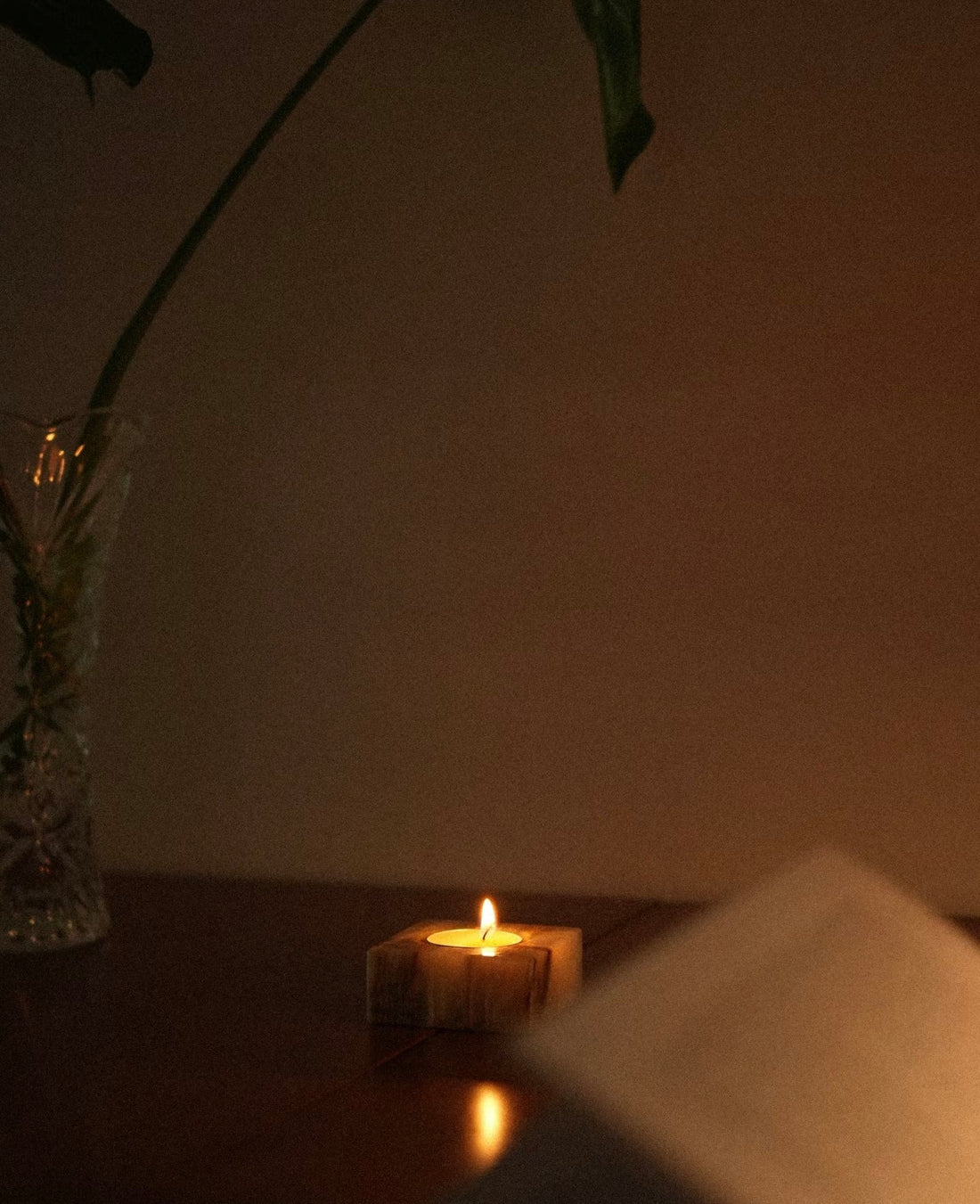 Lip Care 101: What is the best lip balm for nighttime that actually stays on?